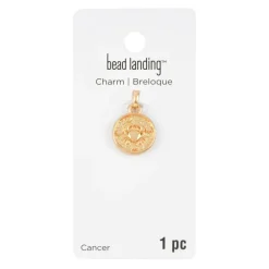 Metal Zodiac Coin Charm by Bead Landing™