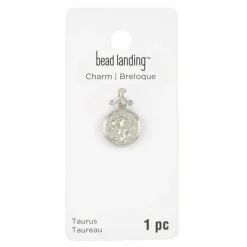Metal Zodiac Coin Charm by Bead Landing™