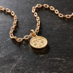 Metal Zodiac Coin Charm by Bead Landing™