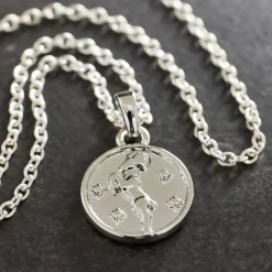 Metal Zodiac Coin Charm by Bead Landing™