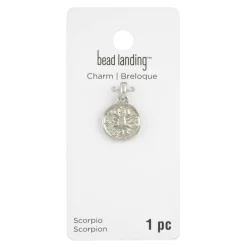 Metal Zodiac Coin Charm by Bead Landing™