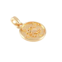 Metal Zodiac Coin Charm by Bead Landing™