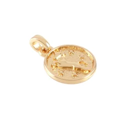 Metal Zodiac Coin Charm by Bead Landing™