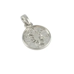 Metal Zodiac Coin Charm by Bead Landing™