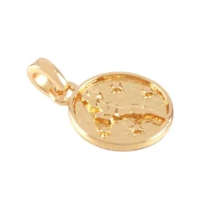 Metal Zodiac Coin Charm by Bead Landing™