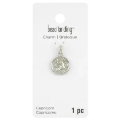 Metal Zodiac Coin Charm by Bead Landing™