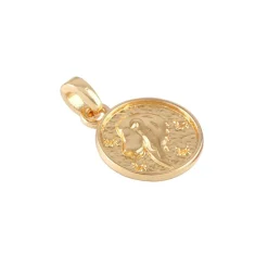 Metal Zodiac Coin Charm by Bead Landing™