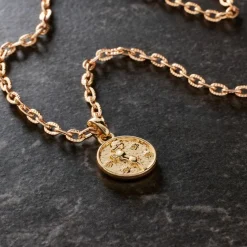 Metal Zodiac Coin Charm by Bead Landing™