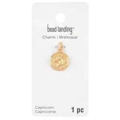 Metal Zodiac Coin Charm by Bead Landing™