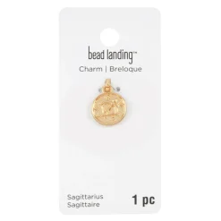 Metal Zodiac Coin Charm by Bead Landing™