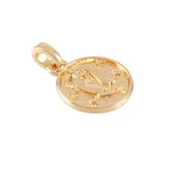 Metal Zodiac Coin Charm by Bead Landing™