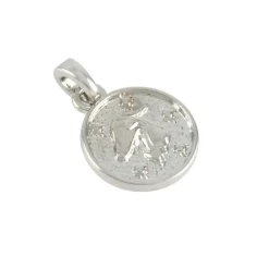 Metal Zodiac Coin Charm by Bead Landing™