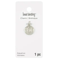 Metal Zodiac Coin Charm by Bead Landing™