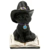 Mini Black Cat on Book by Ashland®