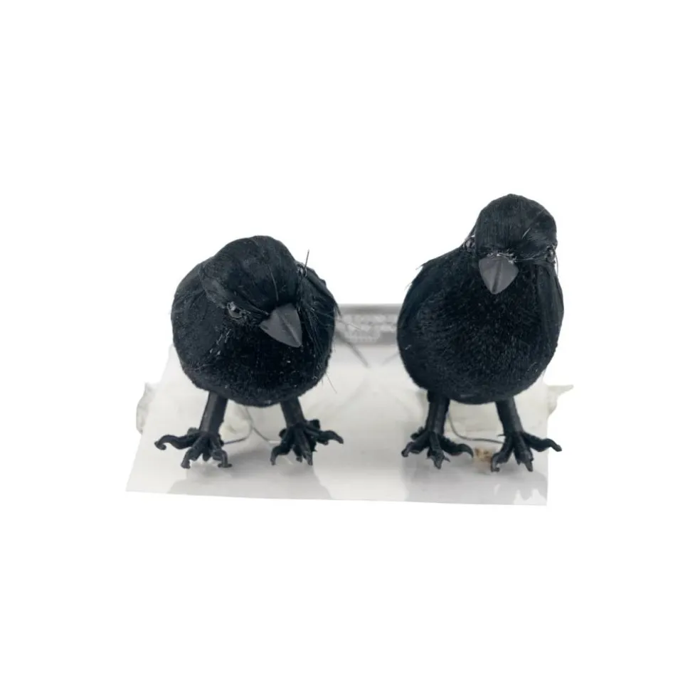 Mini Black Crows, 2ct. by Ashland®