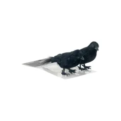 Mini Black Crows, 2ct. by Ashland®