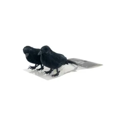 Mini Black Crows, 2ct. by Ashland®