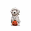 Mini Mummy Dog by Ashland®