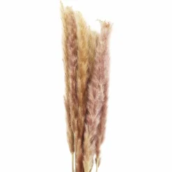 Mini Natural Brown Pampas Bunch by Ashland®