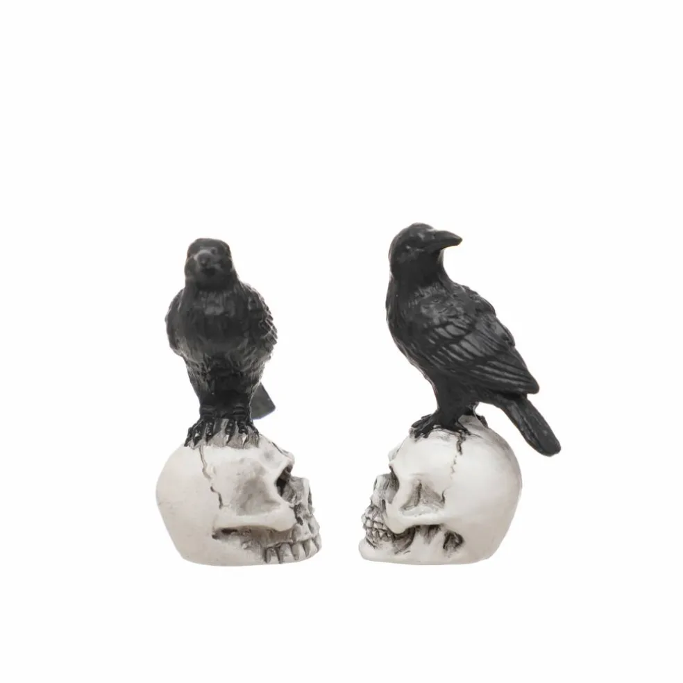 Mini Raven on Skull, 2ct. by Ashland®