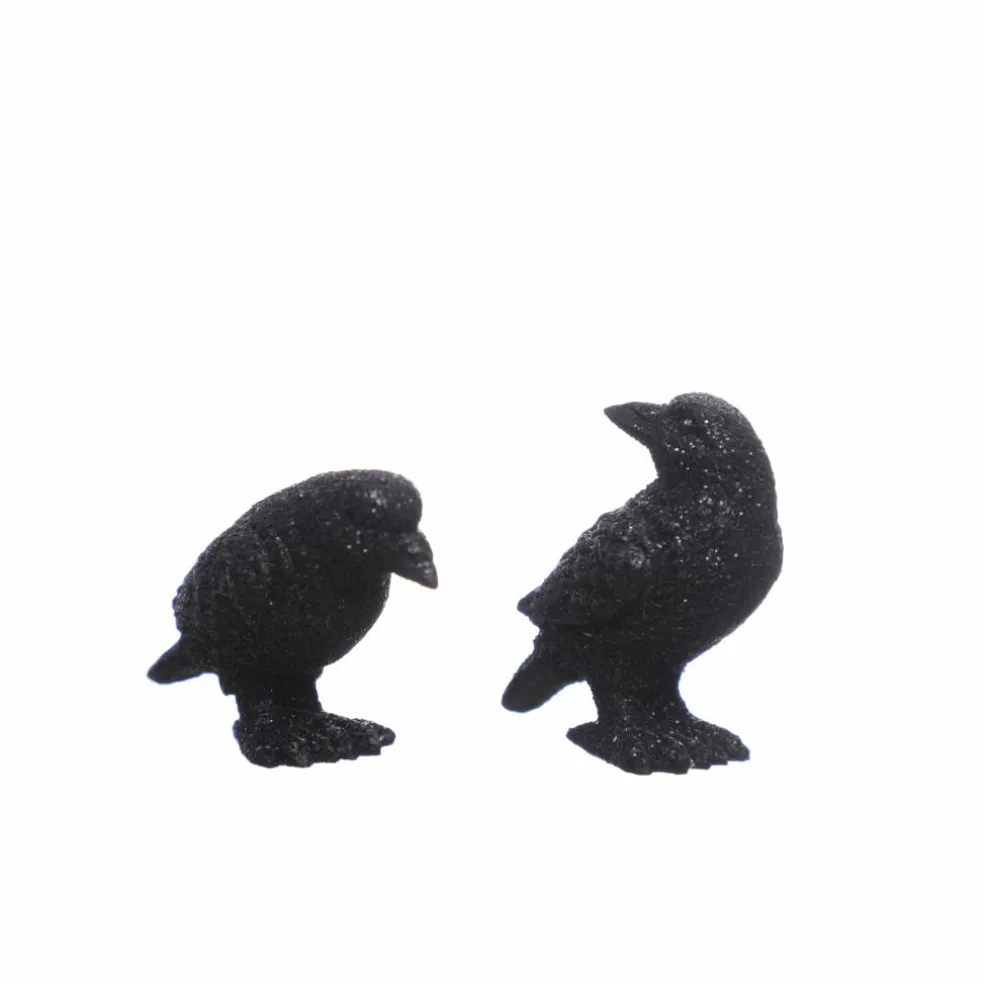 Mini Ravens, 2ct. by Ashland®
