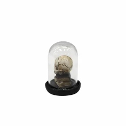 Mini Skull & Books Cloche by Ashland®