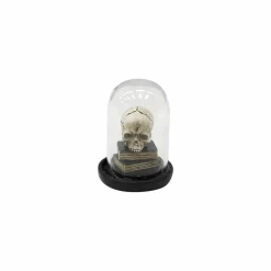 Mini Skull & Books Cloche by Ashland®