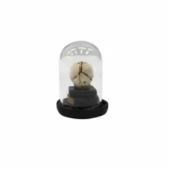Mini Skull & Books Cloche by Ashland®