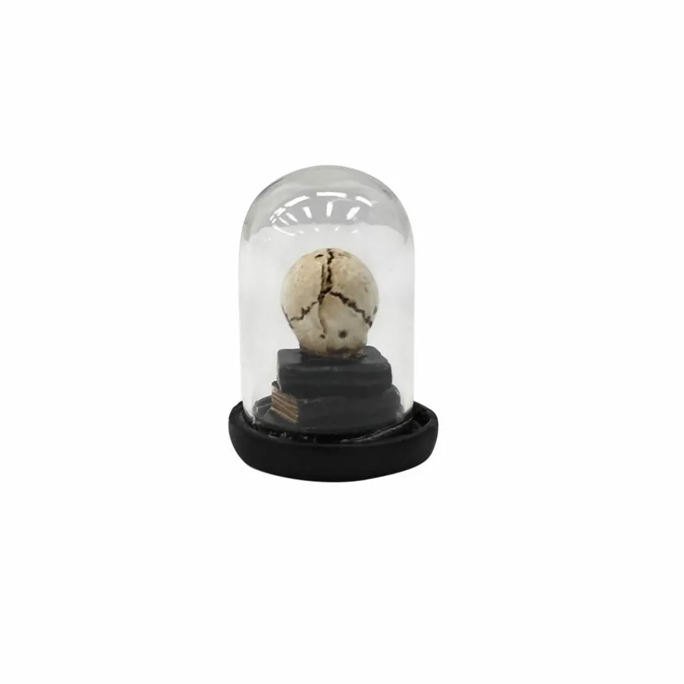 Mini Skull & Books Cloche by Ashland®