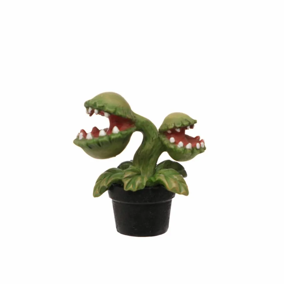Mini Venus Flytrap by Ashland®