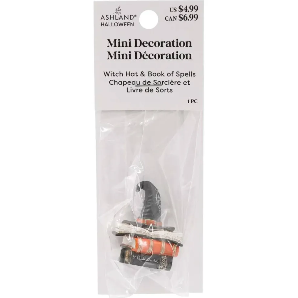 Mini Witch Hat & Book of Spells by Ashland®