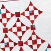 Moon Dance: Eleanor Burns Signature Pattern