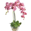 18" Moth Orchid Arrangement in Glass Vase