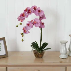 18" Moth Orchid Arrangement in Glass Vase