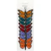 2.5" Multicolor Feather Butterflies, 10ct. by Ashland®