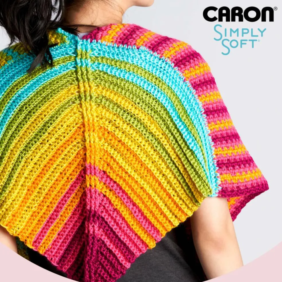 Multipack Caron® Simply Soft® Solid Yarn