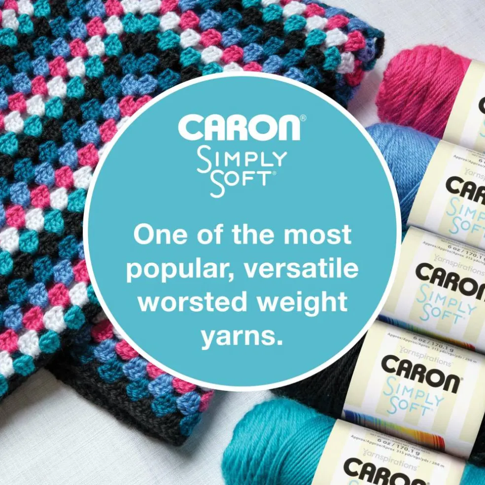 Multipack Caron® Simply Soft® Solid Yarn