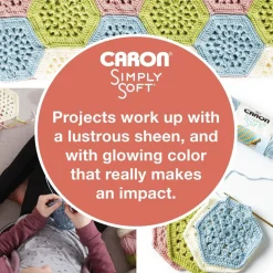 Multipack Caron® Simply Soft® Solid Yarn