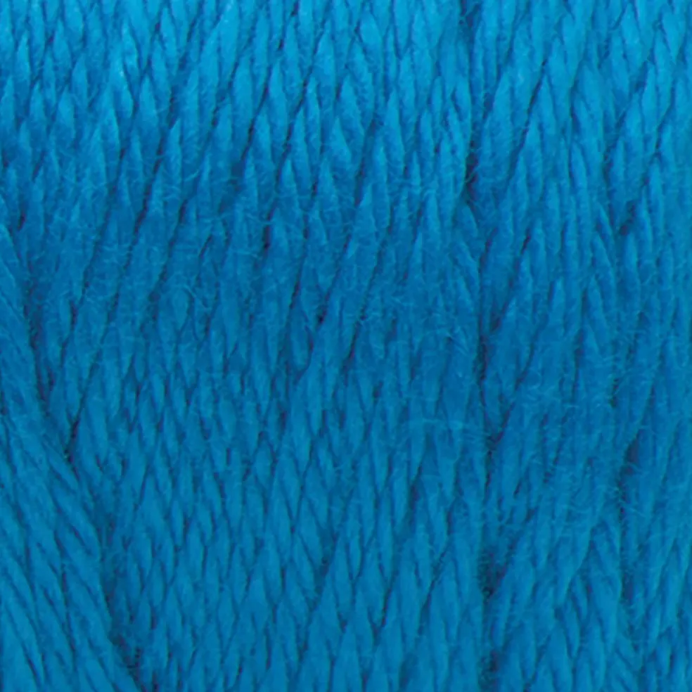 Multipack Caron® Simply Soft® Solid Yarn