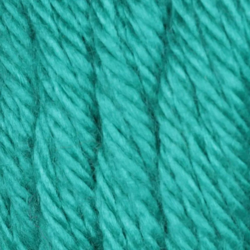 Multipack Caron® Simply Soft® Solid Yarn