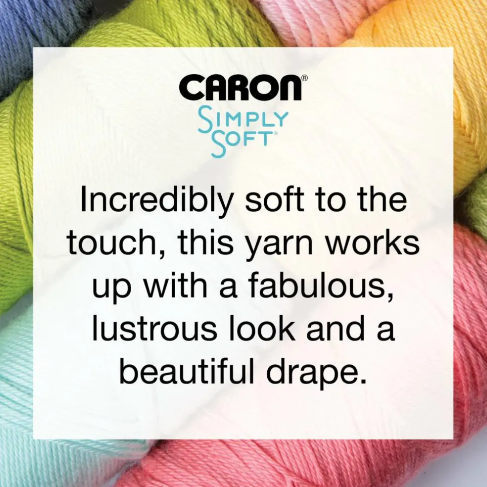 Multipack Caron® Simply Soft® Solid Yarn