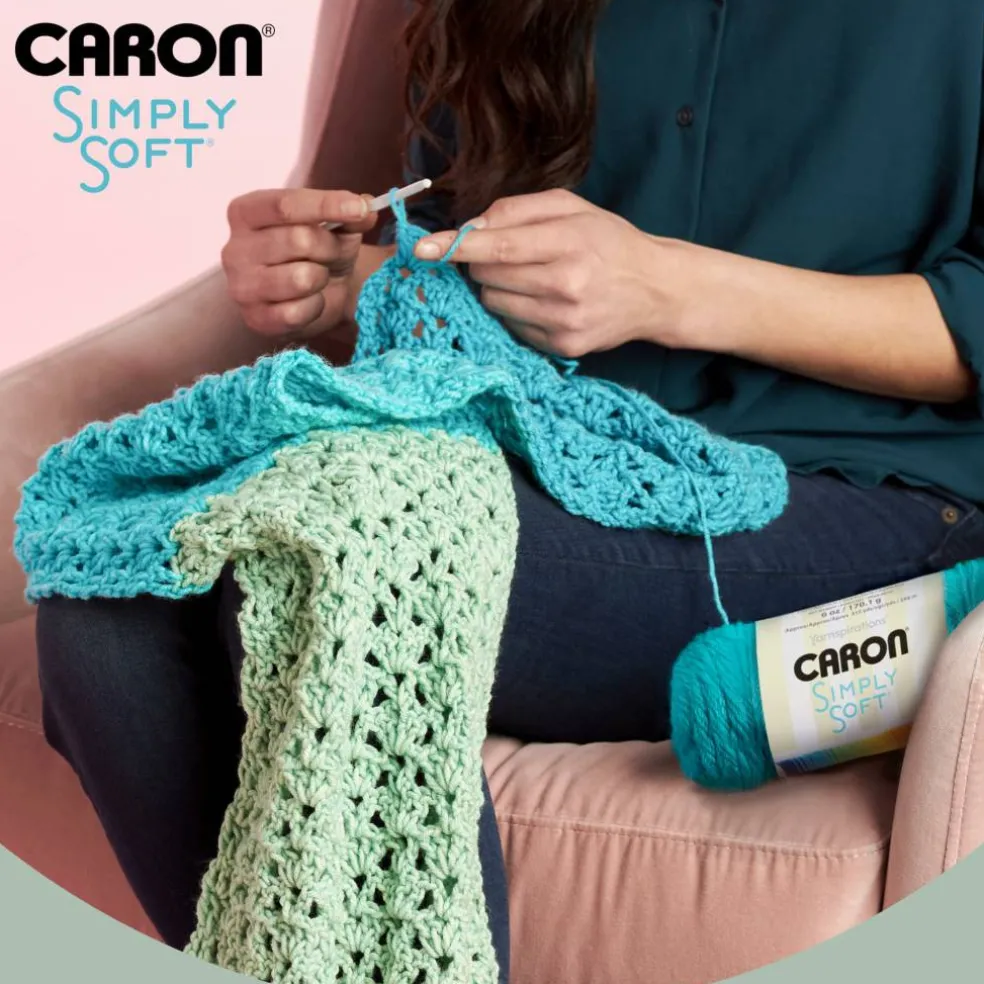 Multipack Caron® Simply Soft® Solid Yarn