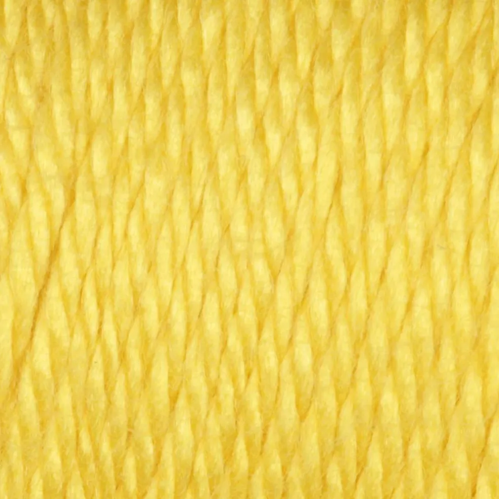 Multipack Caron® Simply Soft® Solid Yarn