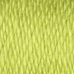 Multipack Caron® Simply Soft® Solid Yarn