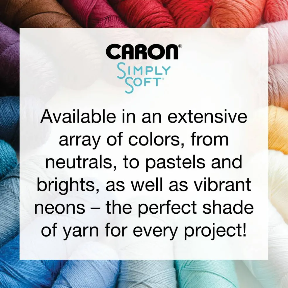 Multipack Caron® Simply Soft® Solid Yarn
