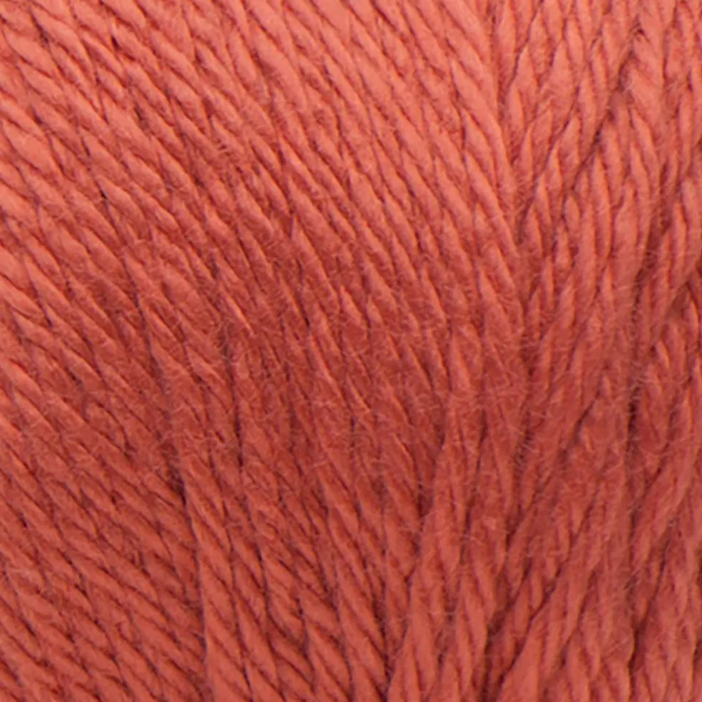 Multipack Caron® Simply Soft® Solid Yarn