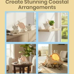 Murex Ramosus Shell 6-7 inches Real Murex Sea Shell Large Large Shell Decor Seashell Display for Table