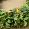 Mushroom Birds by Ashland™