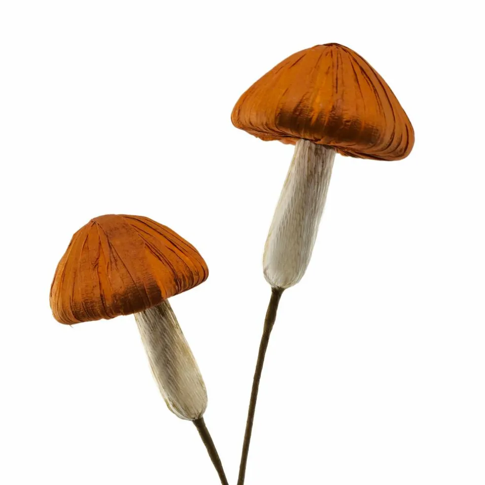 12" Mushroom Pick by Ashland®