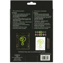 Mystery Dark Flower Paint-by-Number Framed Mini Kit by Artist's Loft®
